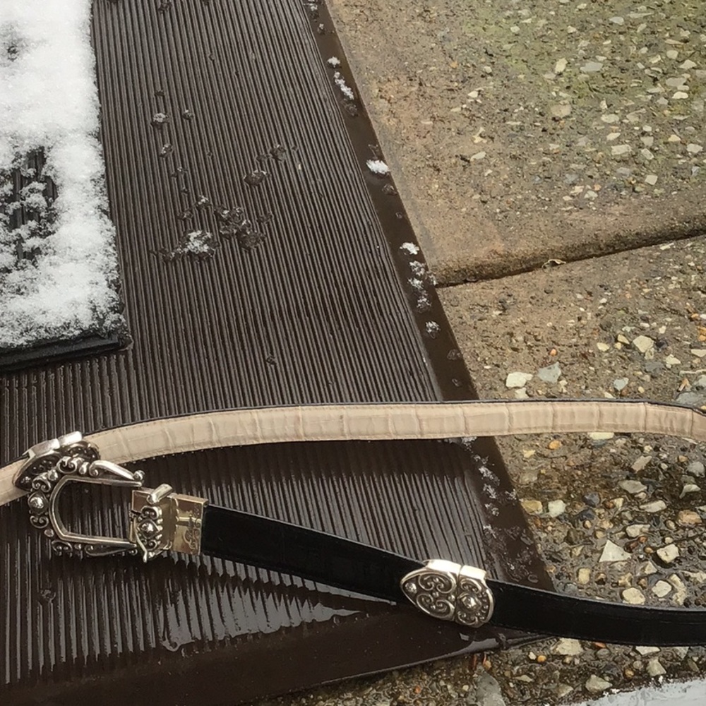 Brighton belt 36”.